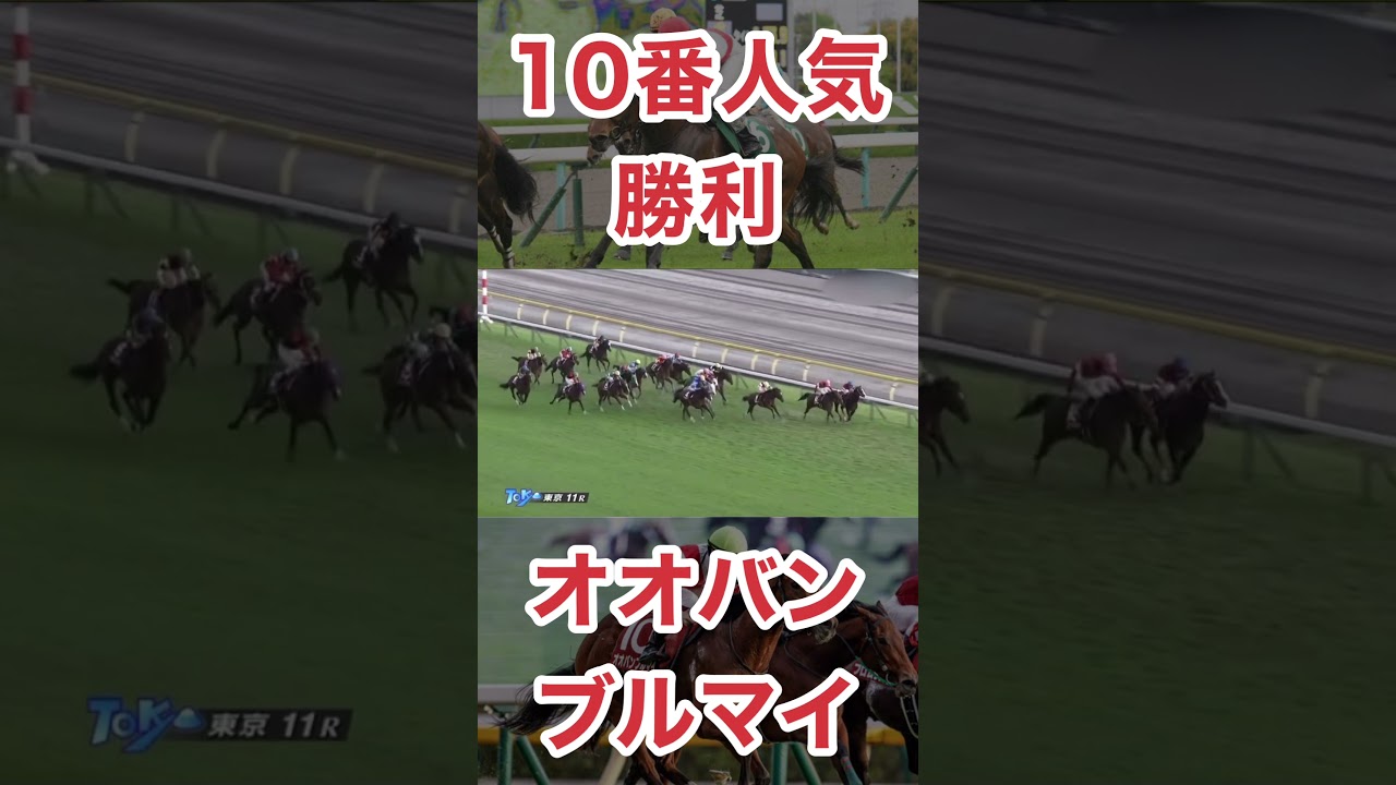 オオバンブルマイ、NHKマイルカップ勝って馬券を大盤振舞