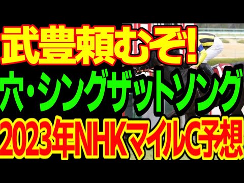 武豊が俺の愛馬と躍動し、重以上でオオバンブルマイが本命になるという…しかし、降らなければ切って本命・カルロヴェローチェという2023年NHKマイルカップ予想動画【私の競馬論】【競馬ゆっくり】