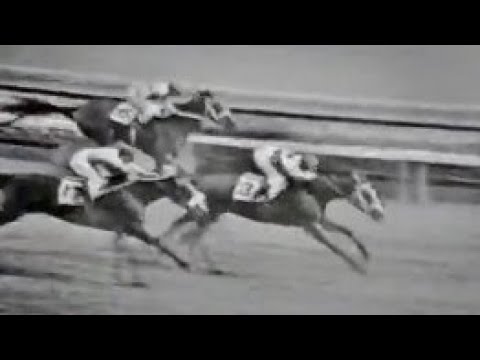 第２６回　優駿牝馬（オークス）　ベロナ　牝３　55　加賀武見　1965.5.23　　出走馬：ベストルーラー、ナスノキク 、キクノスズラン、ソウリユウ、ウイステリヤ、タイイサミ、マキノサクラ他