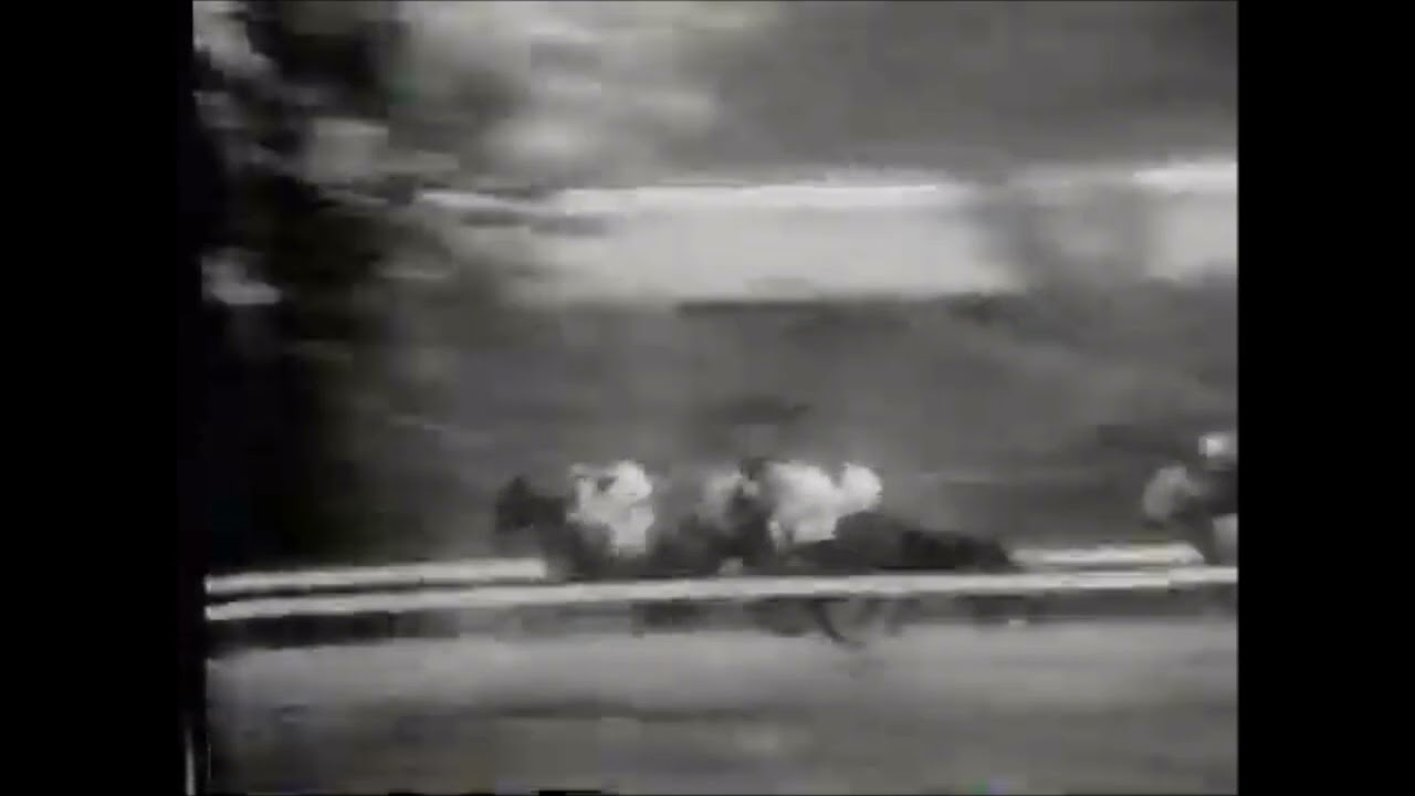 第２９回　優駿牝馬（オークス）　 ルピナス　牝３　55　中野渡清一　1968.6.30　　出走馬：スズガーベラ 、マルシゲ 、ヒロダイコク 、ブラツクバトー、フアインローズ 、ニツトウヤヨイ 他