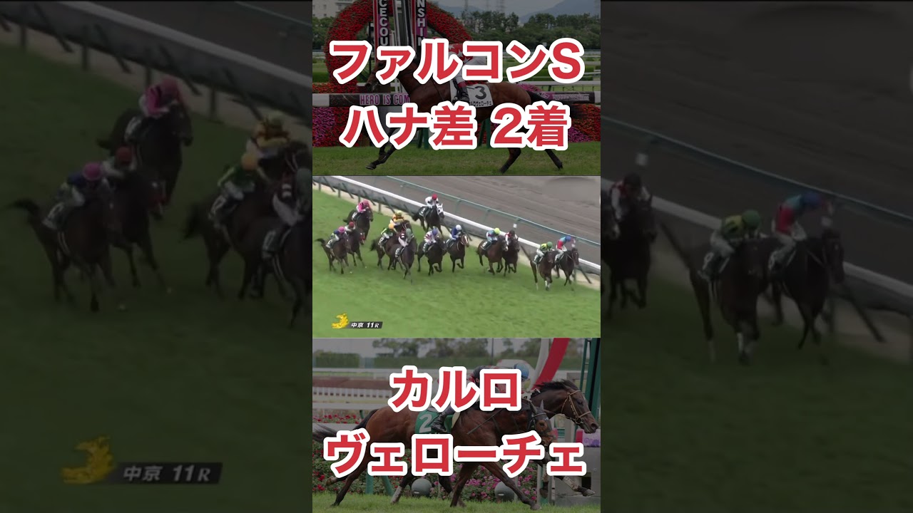 カルロヴェローチェ、レーン騎手騎乗でNHKマイルカップ好走なるか！？