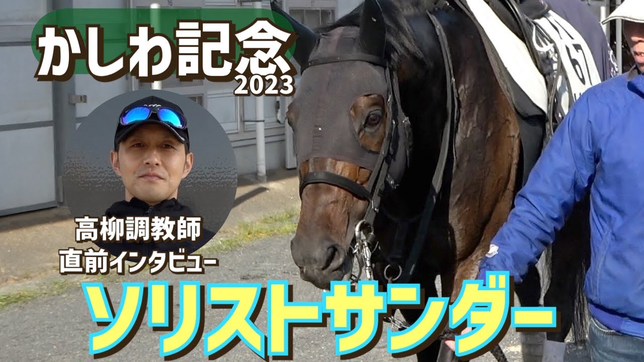 【かしわ記念2023】出走するソリストサンダーを管理する高柳調教師に直前インタビュー「この馬のポイントは、自分のペースでレースを運ぶことです」《東スポ競馬ニュース》