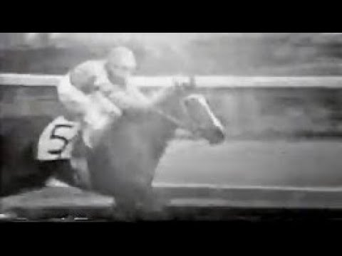 第２８回　優駿牝馬（オークス）　ヤマピツト　牝３　55　保田隆芳　1967.5013　　出走馬：ミドリエース、スイートフラツグ、イチコ、メジロアサヒ、ペルルピーチ、コマツエース、キクノフドウ他