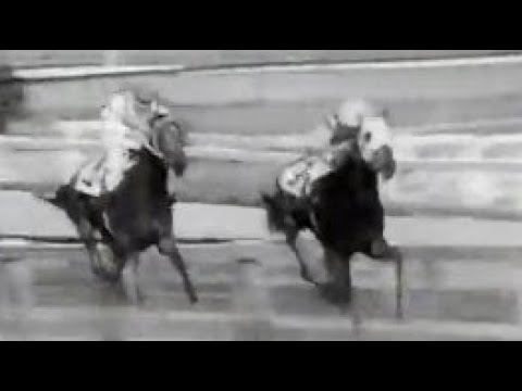 第３０回　優駿牝馬（オークス）　シャダイターキン　牝３　55　森安重勝　1969.5.18　出走馬：ライトパレー、トウメイ 、セプターシロー、マジョルカ、シャンデリー、グローブターフ、リュウハート他