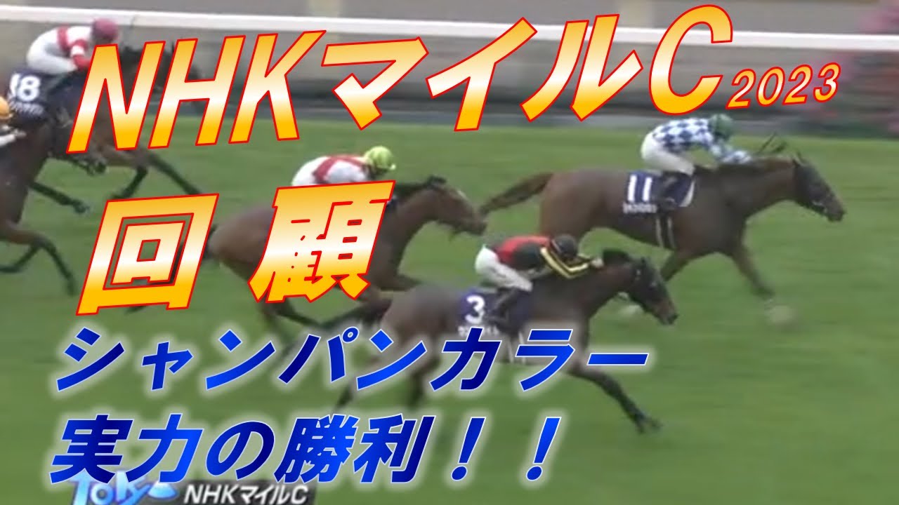 NHKマイルカップ2023　回顧　シャンパンカラー、フロック要素無しの実力勝ち！！　オオバンブルマイをどう見る！？　元馬術選手のコラム【競馬】