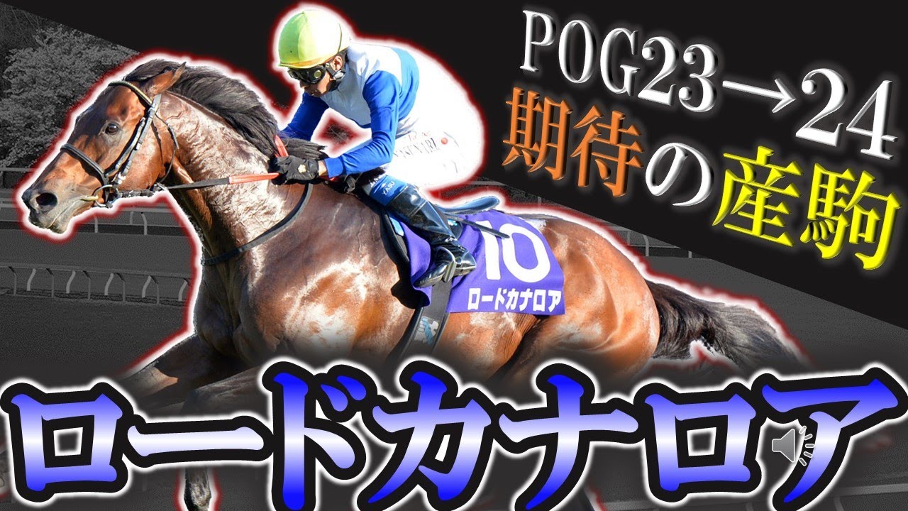 【2歳馬】種付け料2000万のプレミア世代！ロードカナロア期待の産駒を10頭紹介します！【pog23-24】