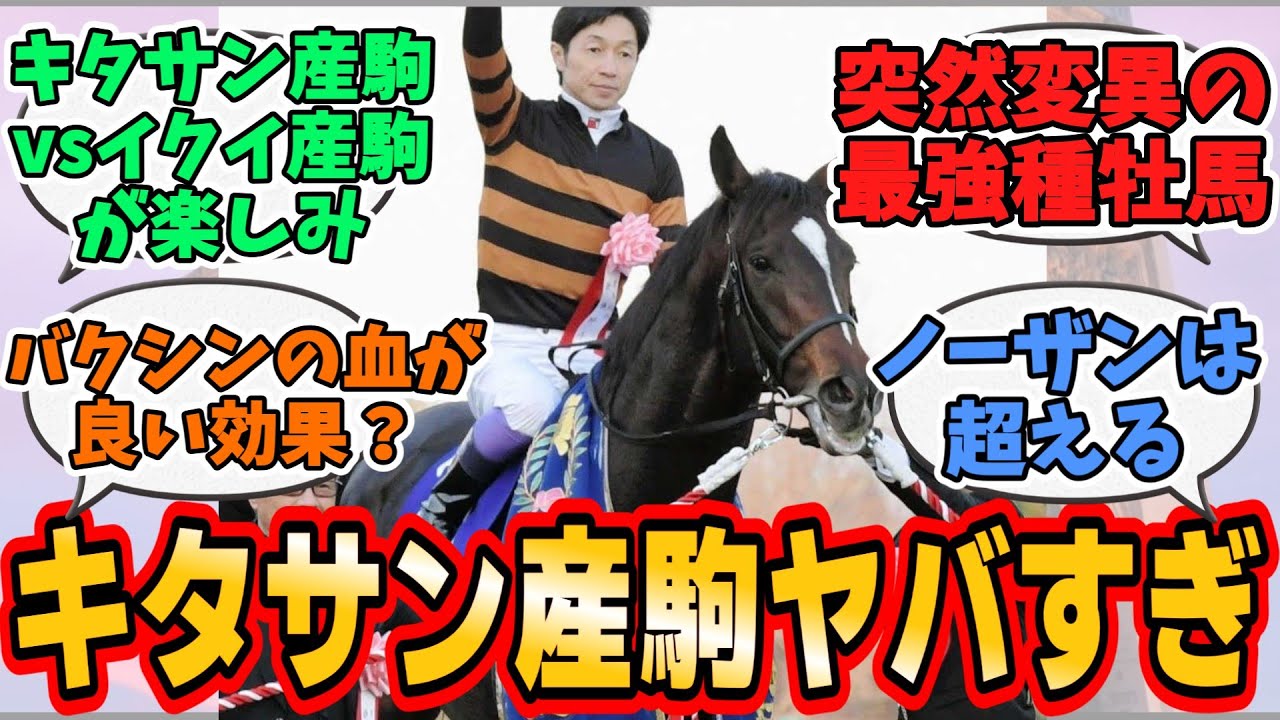 キタサンブラックはサンデーサイレンスを超えるか？ に対するみんなの反応