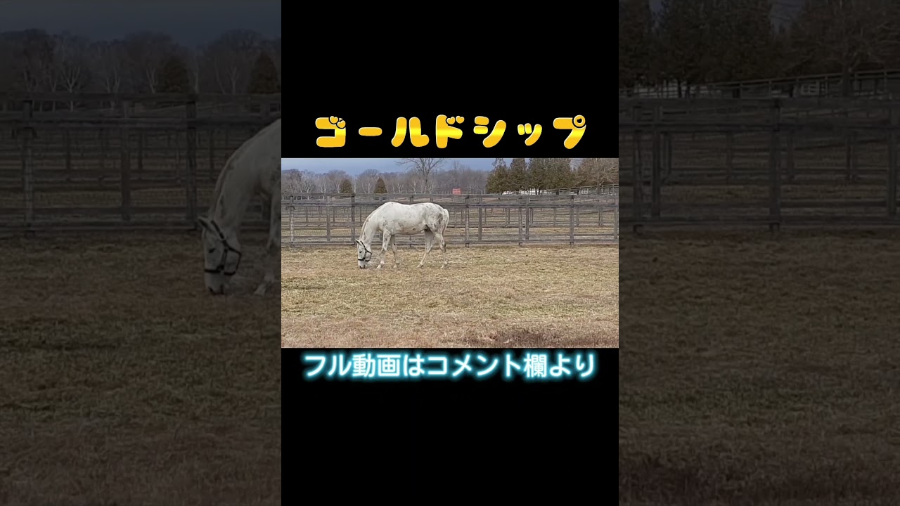 #ゴールドシップ #ビッグレッドファーム 2023.3.23