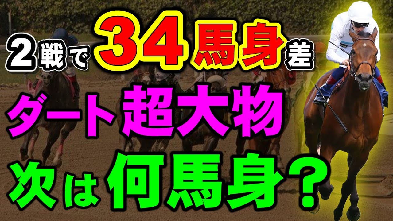 2戦着差34馬身の超大物！今後のダート戦線はこの馬で決まりか！