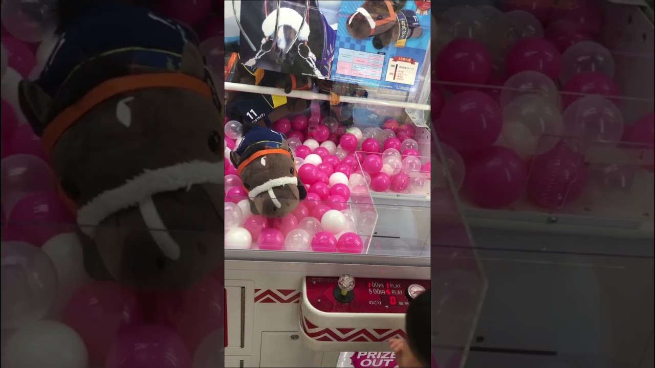【クレーンゲームまひろくん挑戦】知らんうちに有馬記念を制す#shorts #クレーンゲーム