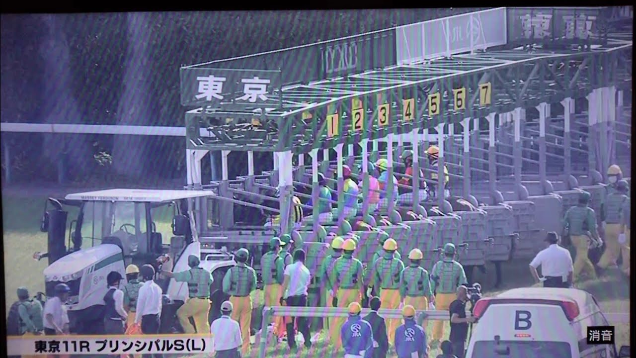 2023/05/06 東京11RプリンシパルS(L・3歳)【ダービー最終トライアル！】