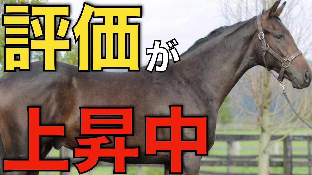 【爆売れ】今年初のセールで評価を受けた種牡馬は！直近の活躍が顕著に。