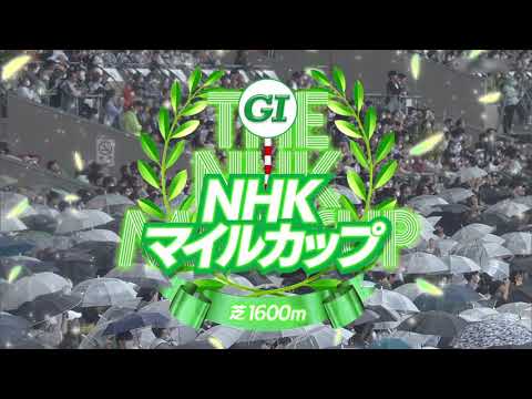 2023 05 07 東京11R NHKマイルカップ(G1) シャンパンカラー(内田博幸)