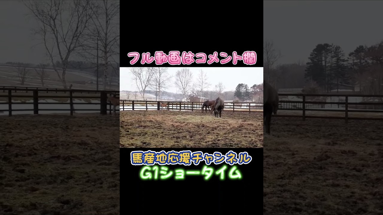 #ハシモトファーム #とねっこ 後編