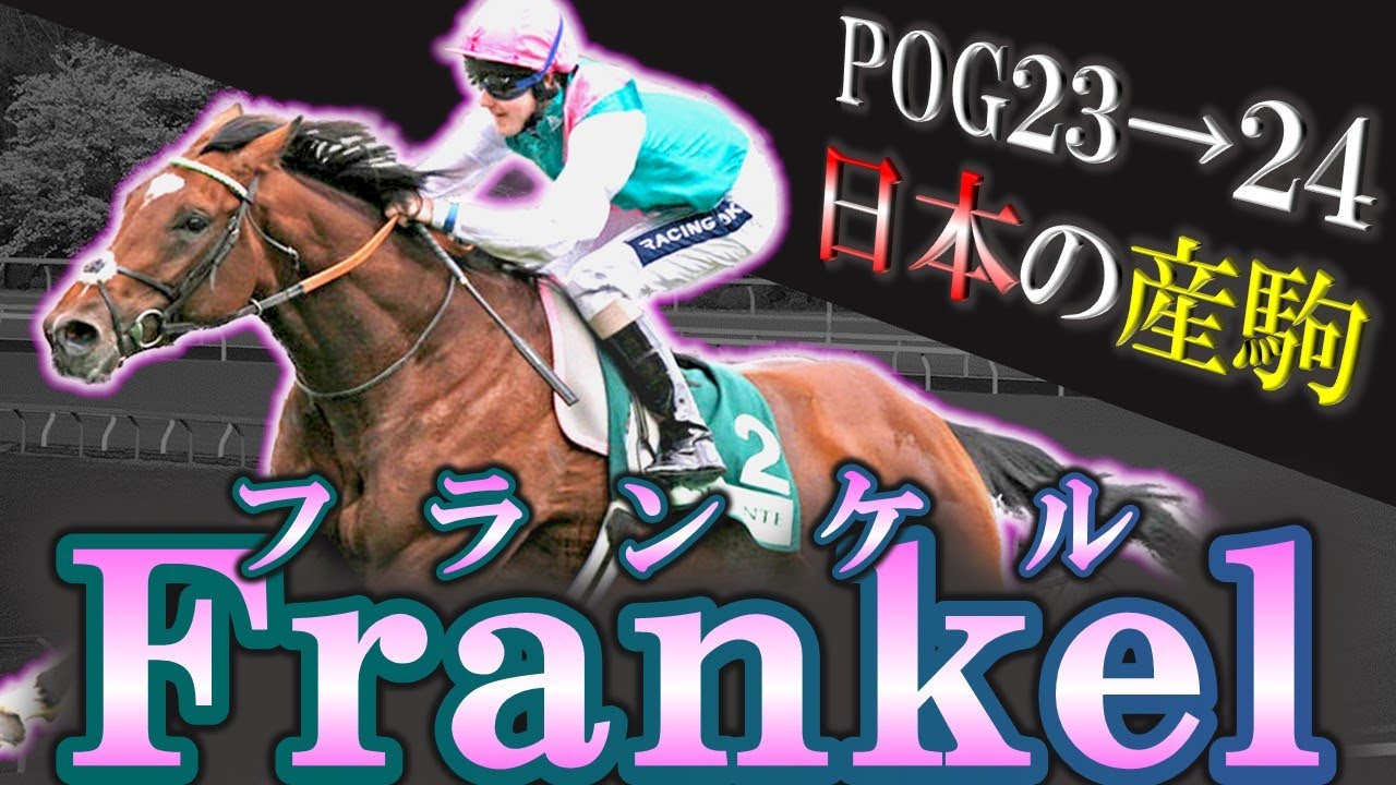 【2歳馬】"怪物"フランケルの日本デビュー予定産駒 全8頭を紹介します！【pog23-24】