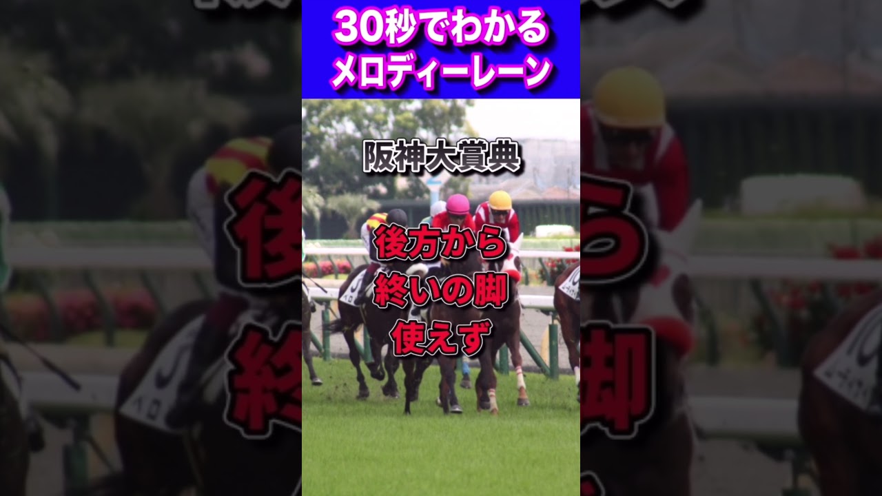 【天皇賞春2023】30秒でわかるメロディーレーン