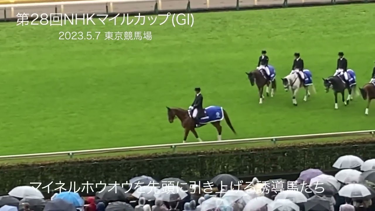 10年前の勝ち馬マイネルホウオウが先導 NHKマイルカップの誘導馬