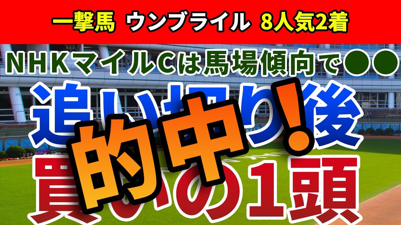 NHKマイルC2023 追い切り後【買いの1頭】公開！春秋、東京開催に特有の馬場傾向とは？今回こそ狙うべきまさかの一頭を発表！
