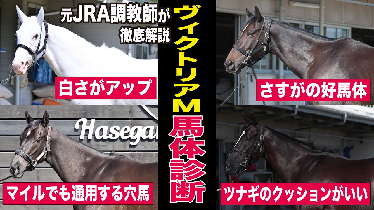 【ヴィクトリアマイル2023】ソダシの評価は？中村均元調教師が馬体診断　馬体ランキング上位５頭＆穴馬を紹介《東スポ競馬ニュース》