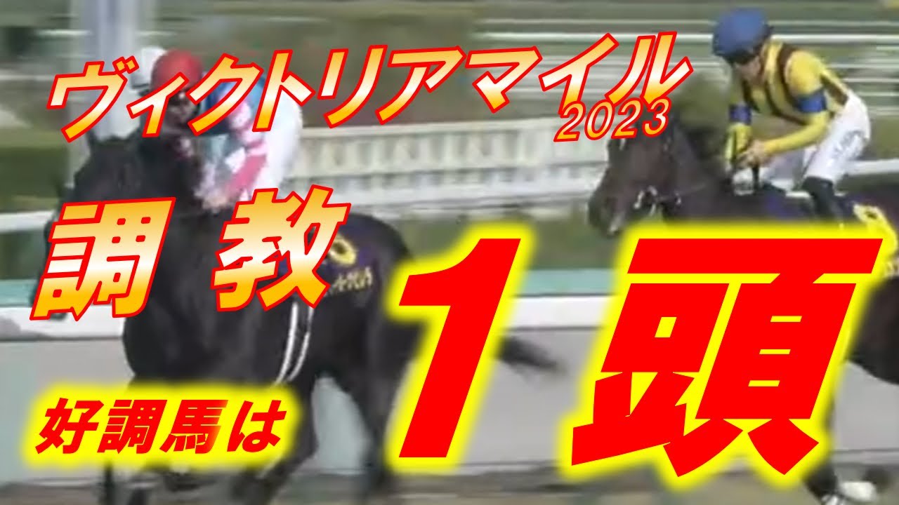 ヴィクトリアマイル2023　追い切り診断！！　史上2度の100点超えが出現！！　スターズオンアース、ソダシの評価は！？　元馬術選手のコラム【競馬】