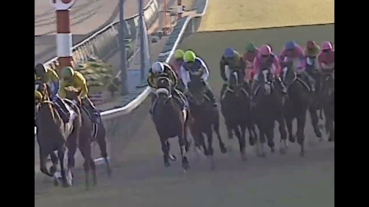 ナリタトップロード 2001年 第46回有馬記念(GI) (優勝馬：マンハッタンカフェ)