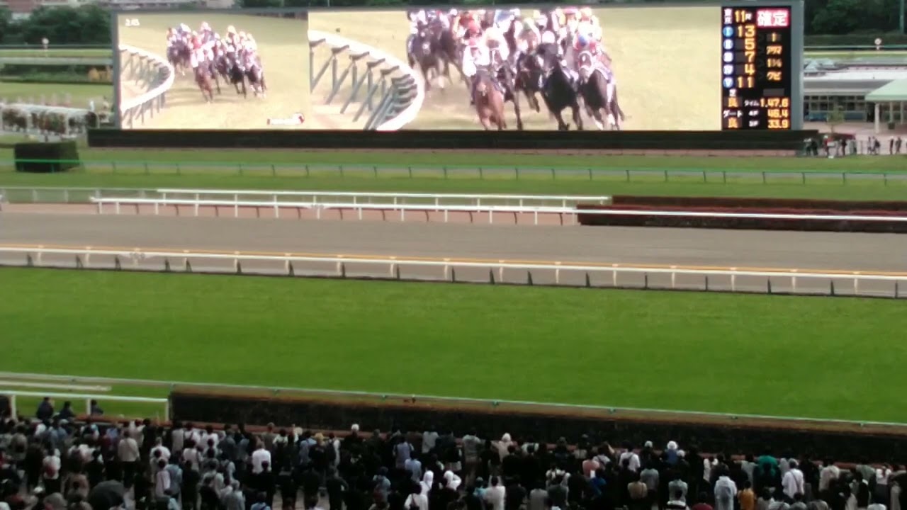 【天皇賞春(G1)】2023現地映像🐴『③タイトルホルダーがズルズル後退して東京競馬場もどよめく💓』①ジャスティンパレス&⑦ディープボンドで見事縦目をくらう👍️