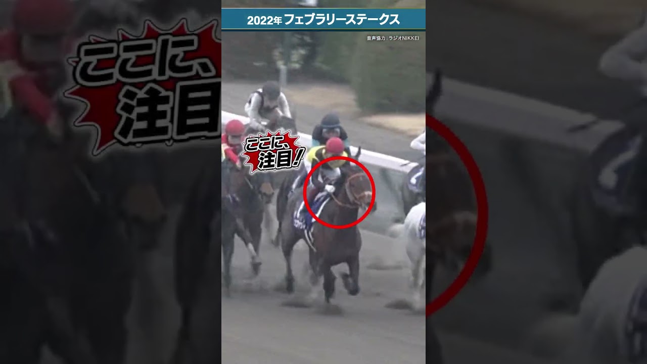 福永祐一騎手、熟練の手綱さばき　#2022 #フェブラリーステークス #福永祐一 #jra #jra公式