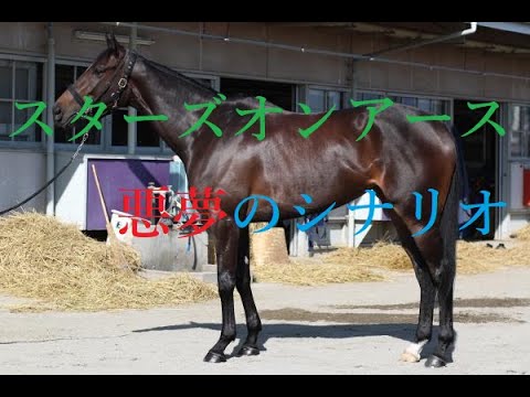 ヴィクトリアマイル 2023 ９１万馬券の年と酷似 波乱に直結する２つの要因 スターズオンアース最大の死角