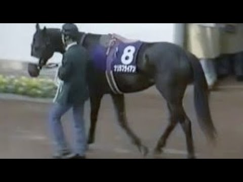 第４５回　朝日杯３歳ステークス （ＧⅠ）　パドック　1993.12.12　　出走馬：ナリタブライアン、エイシンワシントン、タイキウルフ、アイネスサウザー、ボディーガード、フィールドボンバー他