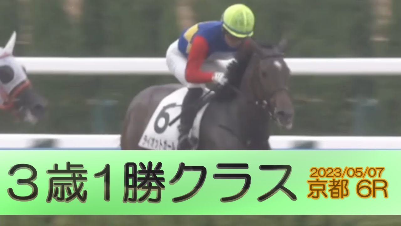 2023/05/07【パドック返し馬つき】京都6R　３歳1勝クラス　☆ライオットガール　シニスターミニスター　＃レースは10分ころから