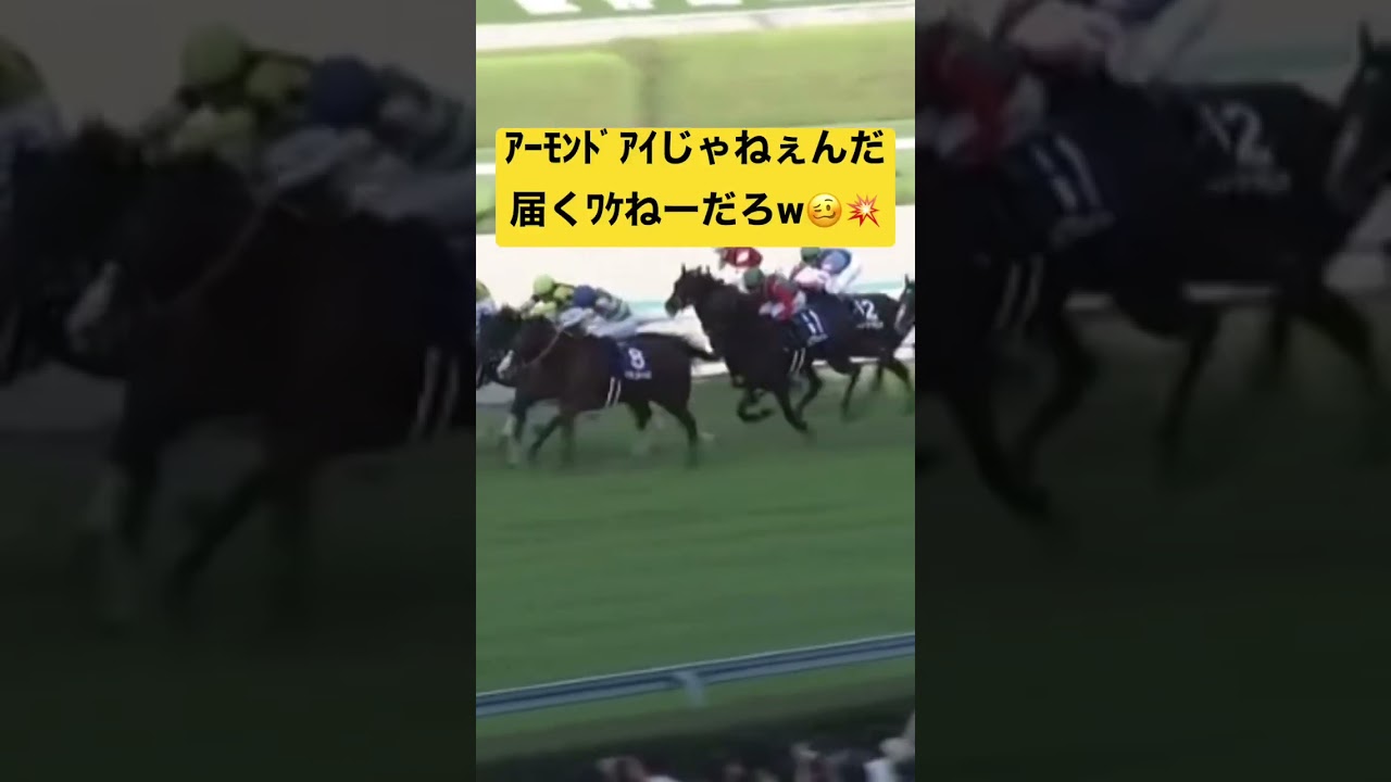 ヴィクトリアマイルだけど…スターズオンアースなんてくるワケねーだろwww #競馬 #ヴィクトリアマイル #スターズオンアース #競馬予想