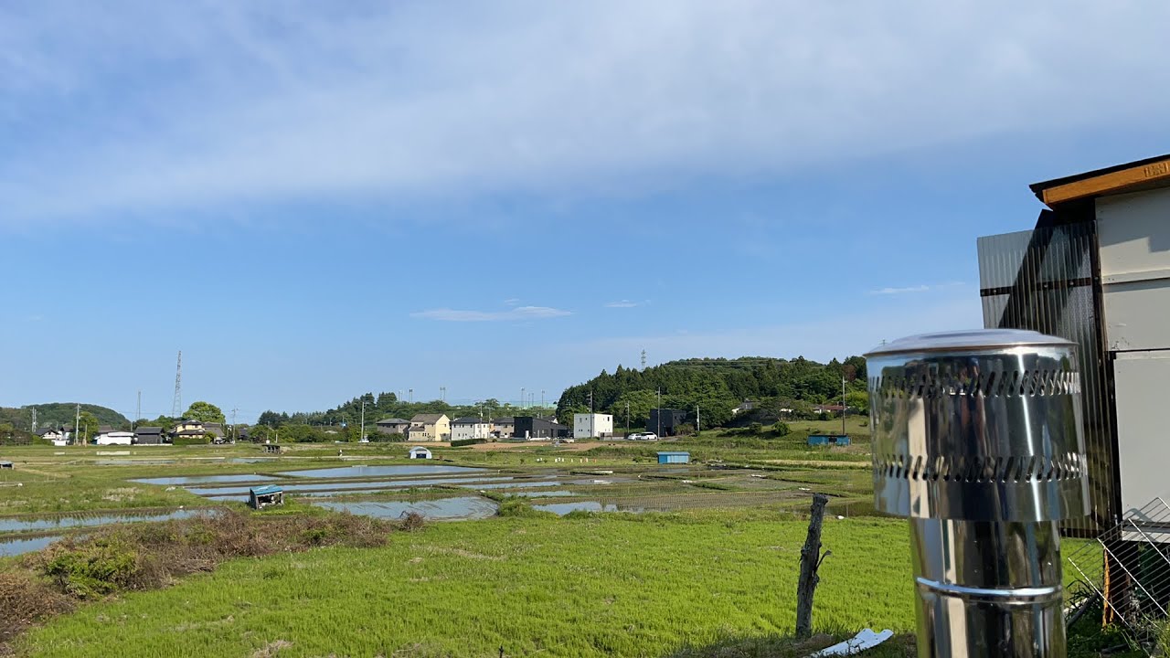ジャパンカップ放鳩！現在の茨城の空と風２
