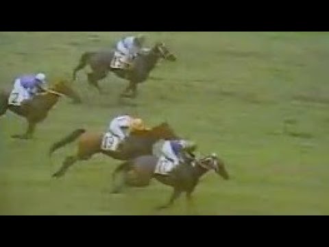 第３２回　優駿牝馬（オークス） 　カネヒムロ　牝３　55　岡部幸雄　1971.6.6　　出走馬：サニーワールド、バンブーキャッチャ、ミスアリシドン、ヤマタケハナ、シャダイナイト、ハッピーゴールド他