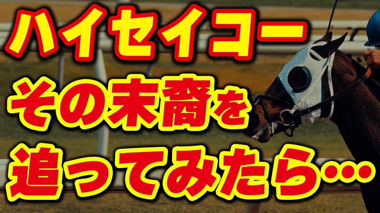 ハイセイコーの末裔を追ってみたら…