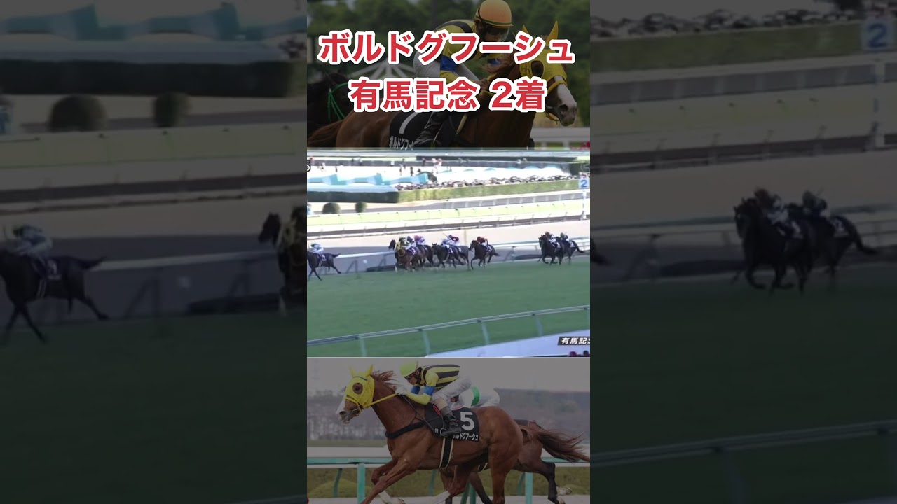 ボルドグフーシュ天皇賞で1着が取れるのか！？