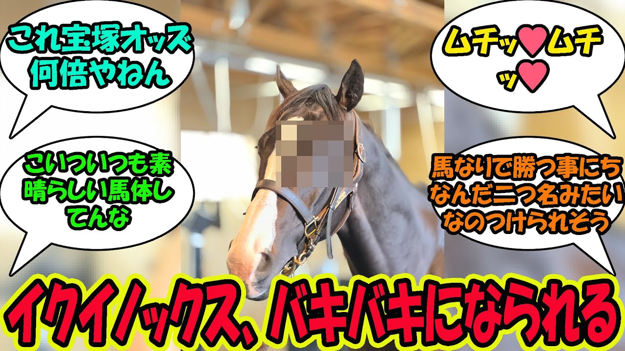 【競馬の反応集】「イクイノックス、バキバキになられる」に対する視聴者の反応集