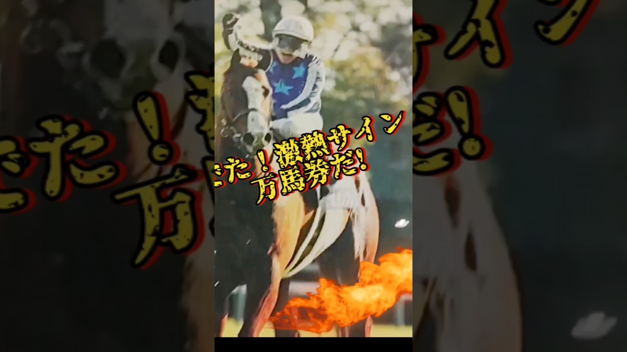 CMです。高松宮記念サイン馬券 競馬予想