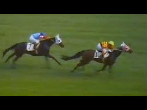 第３３回　優駿牝馬（オークス）　タケフブキ　牝３　55　嶋田功　1972.7.2　　出走馬：タカイホーマ、カンツォーネ、シャダイカール、スターチャイルド、ナスノヤヨイ、ナオユキ、オンワードセレナ他