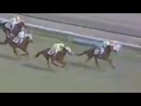 第３５回　優駿牝馬（オークス） 　トウコウエルザ　牝３　55　嶋田功　1974.5.19　　出走馬：スピードシンザン、メジロフクシマ、アイテイシロー、ミトモオー、ニッソウセダン、ニットウヒスイ他