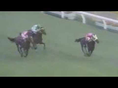 第３９回　優駿牝馬（オークス）　ファイブホープ　牝３　55　横山富雄　1978.5.21　　出走馬：サンエムジョオー、ヒロノスキー、ハシラベンダー、リードスワロー、オヤマテスコ、ダークロード他