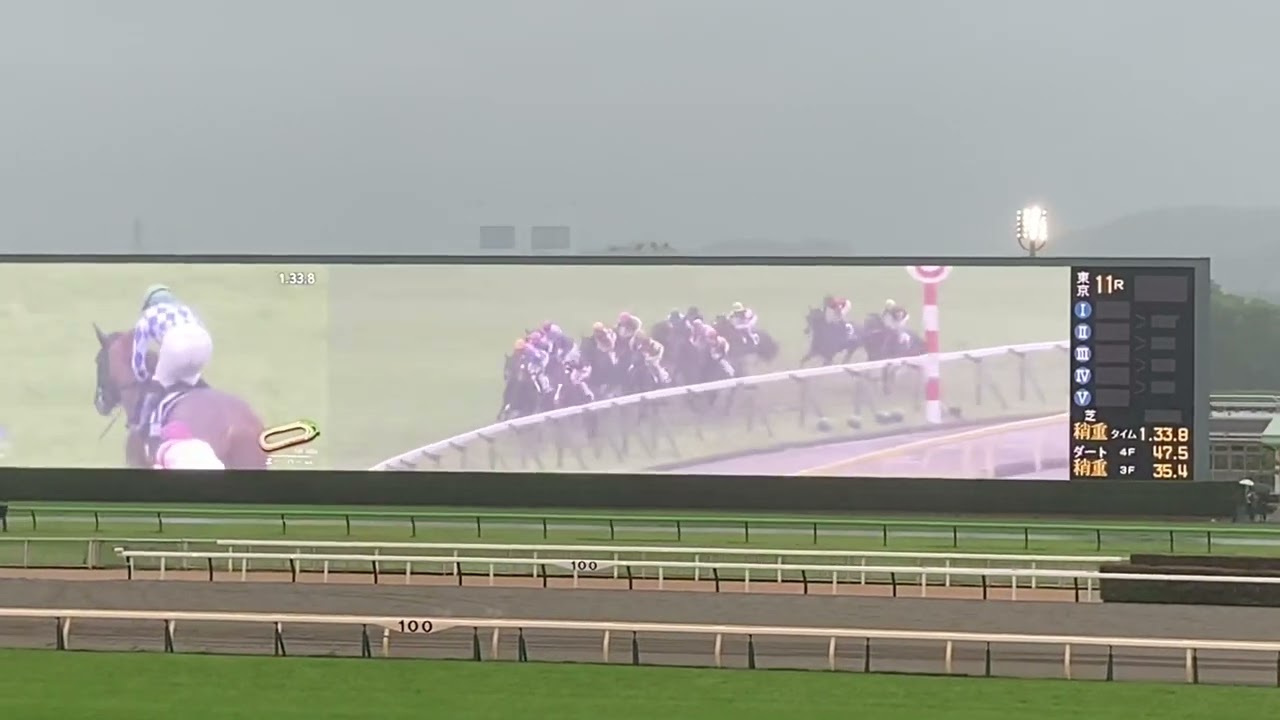 【現地】2023/05/07 G1 NHKマイルカップ  シャンパンカラー 内田博幸【東京競馬場】