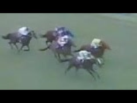 第４６回　優駿牝馬（オークス） （ＧⅠ）　ノアノハコブネ　牝３　55　音無秀孝　1985.5.19　　出走馬：ナカミアンゼリカ、ミスタテガミ、トチノニシキ、ロイヤルコスマー、ワンダーヒロイン他