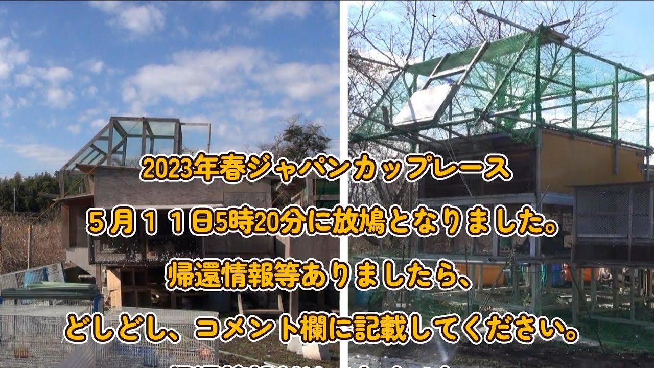 2023年春ジャパンカップレース