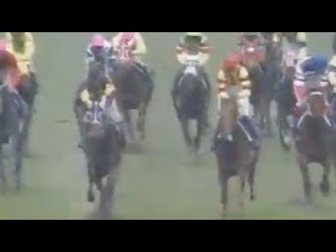 第５０回　優駿牝馬（オークス） （ＧⅠ）　ライトカラー　牝３　55　田島良保　1989.5.21　　出走馬：シャダイカグラ、ヤンゲストシチー、ファンドリポポ、メジロモントレー、レディゴシップ他
