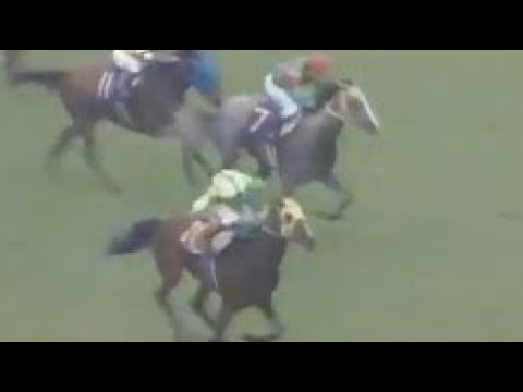 第４８回　優駿牝馬（オークス） （ＧⅠ）　マックスビューティ　牝３　55　田原成貴　1987.5.24　　出走馬：クリロータリー、タレンティドガール、コーセイ、トップコート、メジロフルマー他