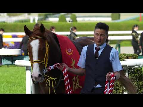 2023年大阪杯 ジャックドールの本馬場入場・口取り式