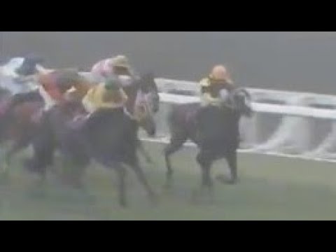 第４２回　優駿牝馬（オークス）　テンモン　牝３　55　嶋田功　1981.5.24　　出走馬：ニシノチェニル、ダイナビクトリア、エイティトウショウ、シャッフィー、サクラスマイル、アグネステスコ他