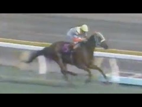 第４０回　優駿牝馬（オークス）　アグネスレディー　牝３　55　河内洋　1979.5.20　　出走馬：ナカミサファイヤ、ホクセーミドリ、スパートリドン、クインパシフィック、フジノスカーレット他