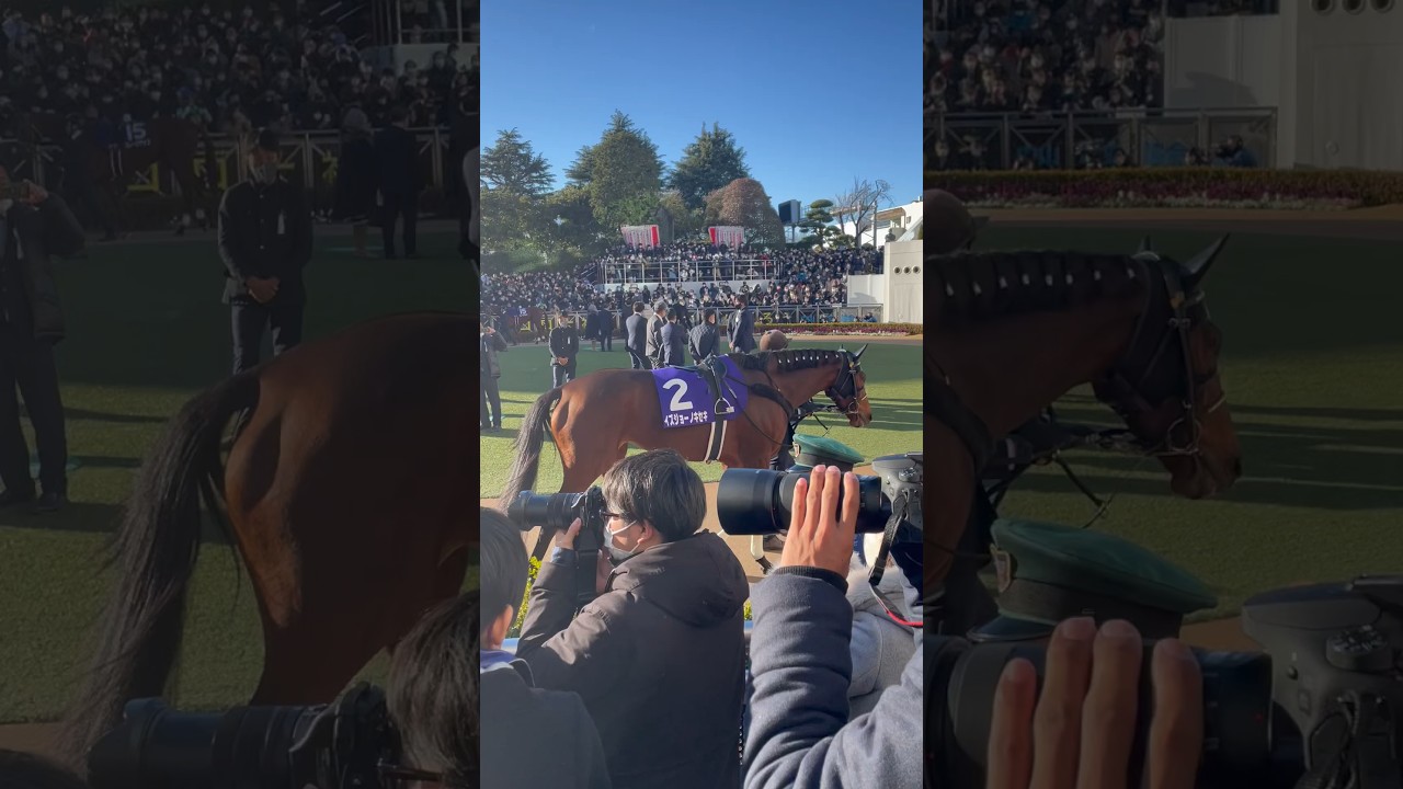 2022年 有馬記念パドックとサークル内にいる柳田選手