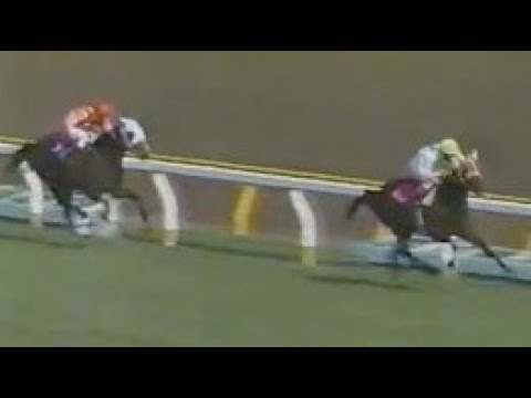 第４１回　優駿牝馬（オークス）　ケイキロク　牝３　55　岡部幸雄　1980.5.18　　出走馬：リックサンブル 、ミョウガミネ、ジュウジアロー、タマモコトブキ、プリテイーサム、ヒロノタイフウ他